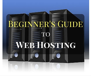 Beginner's Guide to Web Hosting