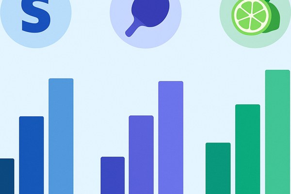Stripe vs Paddle vs Lemon Squeezy - Payments for SaaS Compared
